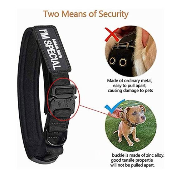 Dog collar size small US American Flag national emblem & Mama Says I'm Special - Picture 3 of 9